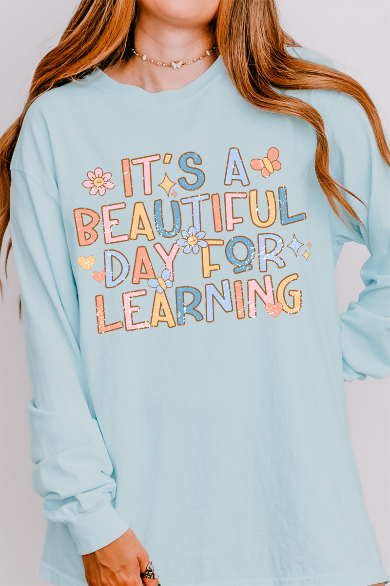 Beautiful Day For Learning Comfort Colors Heavyweight Long product image 4